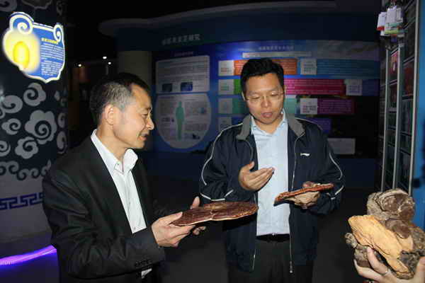 杭州亞運會官方靈芝產(chǎn)品供應(yīng)商|杭州亞運會官方供應(yīng)商|中國靈芝十大品牌|仙客來靈芝|仙客來靈芝破壁孢子粉|仙客來孢子油|仙客來靈芝飲片|仙客來破壁孢子粉|靈芝孢子油|孢子粉|靈芝破壁孢子粉|靈芝|中華老字號