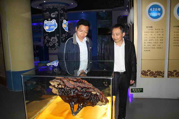 杭州亞運會官方靈芝產(chǎn)品供應(yīng)商|杭州亞運會官方供應(yīng)商|中國靈芝十大品牌|仙客來靈芝|仙客來靈芝破壁孢子粉|仙客來孢子油|仙客來靈芝飲片|仙客來破壁孢子粉|靈芝孢子油|孢子粉|靈芝破壁孢子粉|靈芝|中華老字號