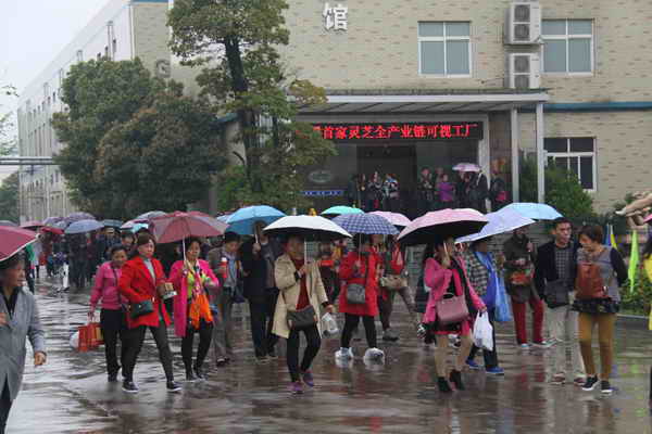 杭州亞運會官方靈芝產(chǎn)品供應(yīng)商|杭州亞運會官方供應(yīng)商|中國靈芝十大品牌|仙客來靈芝|仙客來靈芝破壁孢子粉|仙客來孢子油|仙客來靈芝飲片|仙客來破壁孢子粉|靈芝孢子油|孢子粉|靈芝破壁孢子粉|靈芝|中華老字號 杭州亞運會官方靈芝產(chǎn)品供應(yīng)商|杭州亞運會官方供應(yīng)商|中國靈芝十大品牌|仙客來靈芝|仙客來靈芝破壁孢子粉|仙客來孢子油|仙客來靈芝飲片|仙客來破壁孢子粉|靈芝孢子油|孢子粉|靈芝破壁孢子粉|靈芝|中華老字號