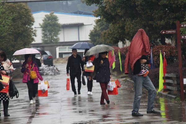 杭州亞運會官方靈芝產(chǎn)品供應(yīng)商|杭州亞運會官方供應(yīng)商|中國靈芝十大品牌|仙客來靈芝|仙客來靈芝破壁孢子粉|仙客來孢子油|仙客來靈芝飲片|仙客來破壁孢子粉|靈芝孢子油|孢子粉|靈芝破壁孢子粉|靈芝|中華老字號 杭州亞運會官方靈芝產(chǎn)品供應(yīng)商|杭州亞運會官方供應(yīng)商|中國靈芝十大品牌|仙客來靈芝|仙客來靈芝破壁孢子粉|仙客來孢子油|仙客來靈芝飲片|仙客來破壁孢子粉|靈芝孢子油|孢子粉|靈芝破壁孢子粉|靈芝|中華老字號