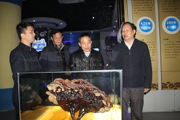 杭州亞運(yùn)會官方靈芝產(chǎn)品供應(yīng)商|杭州亞運(yùn)會官方供應(yīng)商|中國靈芝十大品牌|仙客來靈芝|仙客來靈芝破壁孢子粉|仙客來孢子油|仙客來靈芝飲片|仙客來破壁孢子粉|靈芝孢子油|孢子粉|靈芝破壁孢子粉|靈芝|中華老字號 杭州亞運(yùn)會官方靈芝產(chǎn)品供應(yīng)商|杭州亞運(yùn)會官方供應(yīng)商|中國靈芝十大品牌|仙客來靈芝|仙客來靈芝破壁孢子粉|仙客來孢子油|仙客來靈芝飲片|仙客來破壁孢子粉|靈芝孢子油|孢子粉|靈芝破壁孢子粉|靈芝|中華老字號