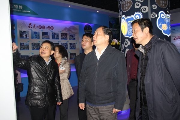 杭州亞運(yùn)會官方靈芝產(chǎn)品供應(yīng)商|杭州亞運(yùn)會官方供應(yīng)商|中國靈芝十大品牌|仙客來靈芝|仙客來靈芝破壁孢子粉|仙客來孢子油|仙客來靈芝飲片|仙客來破壁孢子粉|靈芝孢子油|孢子粉|靈芝破壁孢子粉|靈芝|中華老字號 杭州亞運(yùn)會官方靈芝產(chǎn)品供應(yīng)商|杭州亞運(yùn)會官方供應(yīng)商|中國靈芝十大品牌|仙客來靈芝|仙客來靈芝破壁孢子粉|仙客來孢子油|仙客來靈芝飲片|仙客來破壁孢子粉|靈芝孢子油|孢子粉|靈芝破壁孢子粉|靈芝|中華老字號