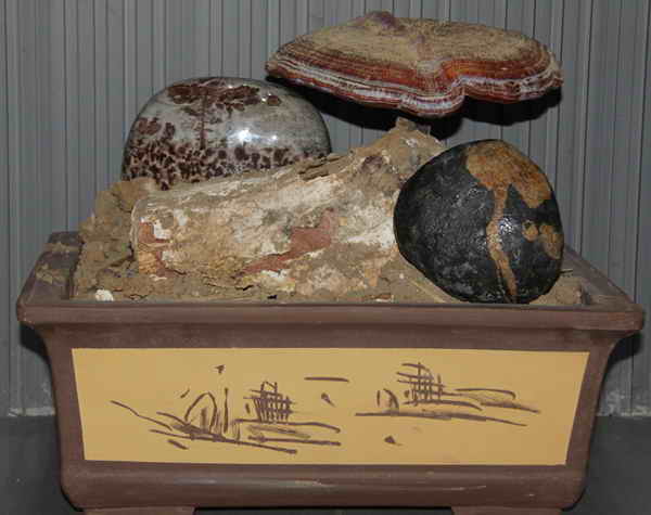 杭州亞運(yùn)會(huì)官方靈芝產(chǎn)品供應(yīng)商|杭州亞運(yùn)會(huì)官方供應(yīng)商|中國靈芝十大品牌|仙客來靈芝|仙客來靈芝破壁孢子粉|仙客來孢子油|仙客來靈芝飲片|仙客來破壁孢子粉|靈芝孢子油|孢子粉|靈芝破壁孢子粉|靈芝|中華老字號(hào) 杭州亞運(yùn)會(huì)官方靈芝產(chǎn)品供應(yīng)商|杭州亞運(yùn)會(huì)官方供應(yīng)商|中國靈芝十大品牌|仙客來靈芝|仙客來靈芝破壁孢子粉|仙客來孢子油|仙客來靈芝飲片|仙客來破壁孢子粉|靈芝孢子油|孢子粉|靈芝破壁孢子粉|靈芝|中華老字號(hào)