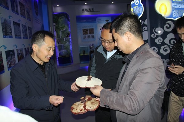 杭州亞運(yùn)會官方靈芝產(chǎn)品供應(yīng)商|杭州亞運(yùn)會官方供應(yīng)商|中國靈芝十大品牌|仙客來靈芝|仙客來靈芝破壁孢子粉|仙客來孢子油|仙客來靈芝飲片|仙客來破壁孢子粉|靈芝孢子油|孢子粉|靈芝破壁孢子粉|靈芝|中華老字號 杭州亞運(yùn)會官方靈芝產(chǎn)品供應(yīng)商|杭州亞運(yùn)會官方供應(yīng)商|中國靈芝十大品牌|仙客來靈芝|仙客來靈芝破壁孢子粉|仙客來孢子油|仙客來靈芝飲片|仙客來破壁孢子粉|靈芝孢子油|孢子粉|靈芝破壁孢子粉|靈芝|中華老字號