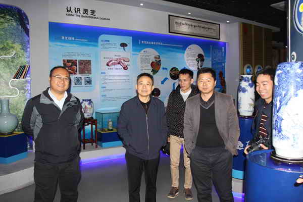 杭州亞運(yùn)會官方靈芝產(chǎn)品供應(yīng)商|杭州亞運(yùn)會官方供應(yīng)商|中國靈芝十大品牌|仙客來靈芝|仙客來靈芝破壁孢子粉|仙客來孢子油|仙客來靈芝飲片|仙客來破壁孢子粉|靈芝孢子油|孢子粉|靈芝破壁孢子粉|靈芝|中華老字號 杭州亞運(yùn)會官方靈芝產(chǎn)品供應(yīng)商|杭州亞運(yùn)會官方供應(yīng)商|中國靈芝十大品牌|仙客來靈芝|仙客來靈芝破壁孢子粉|仙客來孢子油|仙客來靈芝飲片|仙客來破壁孢子粉|靈芝孢子油|孢子粉|靈芝破壁孢子粉|靈芝|中華老字號