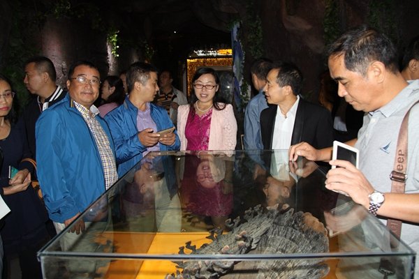 杭州亞運(yùn)會(huì)官方靈芝產(chǎn)品供應(yīng)商|杭州亞運(yùn)會(huì)官方供應(yīng)商|中國(guó)靈芝十大品牌|仙客來靈芝|仙客來靈芝破壁孢子粉|仙客來孢子油|仙客來靈芝飲片|仙客來破壁孢子粉|靈芝孢子油|孢子粉|靈芝破壁孢子粉|靈芝|中華老字號(hào) 杭州亞運(yùn)會(huì)官方靈芝產(chǎn)品供應(yīng)商|杭州亞運(yùn)會(huì)官方供應(yīng)商|中國(guó)靈芝十大品牌|仙客來靈芝|仙客來靈芝破壁孢子粉|仙客來孢子油|仙客來靈芝飲片|仙客來破壁孢子粉|靈芝孢子油|孢子粉|靈芝破壁孢子粉|靈芝|中華老字號(hào)