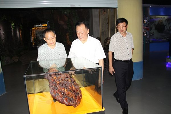 杭州亞運(yùn)會(huì)官方靈芝產(chǎn)品供應(yīng)商|杭州亞運(yùn)會(huì)官方供應(yīng)商|中國(guó)靈芝十大品牌|仙客來(lái)靈芝|仙客來(lái)靈芝破壁孢子粉|仙客來(lái)孢子油|仙客來(lái)靈芝飲片|仙客來(lái)破壁孢子粉|靈芝孢子油|孢子粉|靈芝破壁孢子粉|靈芝|中華老字號(hào) 杭州亞運(yùn)會(huì)官方靈芝產(chǎn)品供應(yīng)商|杭州亞運(yùn)會(huì)官方供應(yīng)商|中國(guó)靈芝十大品牌|仙客來(lái)靈芝|仙客來(lái)靈芝破壁孢子粉|仙客來(lái)孢子油|仙客來(lái)靈芝飲片|仙客來(lái)破壁孢子粉|靈芝孢子油|孢子粉|靈芝破壁孢子粉|靈芝|中華老字號(hào)