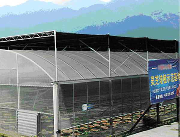 杭州亞運會官方靈芝產(chǎn)品供應(yīng)商|杭州亞運會官方供應(yīng)商|中國靈芝十大品牌|仙客來靈芝|仙客來靈芝破壁孢子粉|仙客來孢子油|仙客來靈芝飲片|仙客來破壁孢子粉|靈芝孢子油|孢子粉|靈芝破壁孢子粉|靈芝|中華老字號 杭州亞運會官方靈芝產(chǎn)品供應(yīng)商|杭州亞運會官方供應(yīng)商|中國靈芝十大品牌|仙客來靈芝|仙客來靈芝破壁孢子粉|仙客來孢子油|仙客來靈芝飲片|仙客來破壁孢子粉|靈芝孢子油|孢子粉|靈芝破壁孢子粉|靈芝|中華老字號