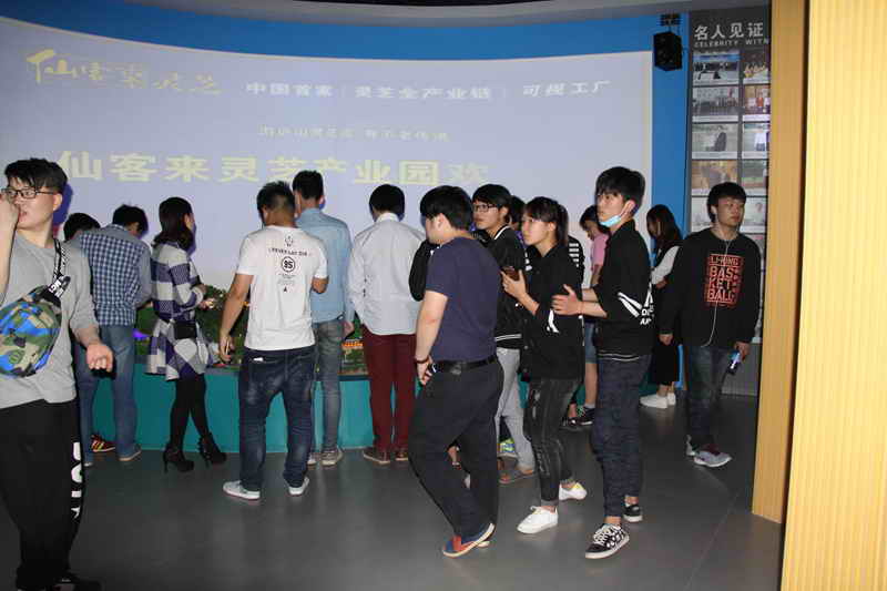 杭州亞運(yùn)會官方靈芝產(chǎn)品供應(yīng)商|杭州亞運(yùn)會官方供應(yīng)商|中國靈芝十大品牌|仙客來靈芝|仙客來靈芝破壁孢子粉|仙客來孢子油|仙客來靈芝飲片|仙客來破壁孢子粉|靈芝孢子油|孢子粉|靈芝破壁孢子粉|靈芝|中華老字號 杭州亞運(yùn)會官方靈芝產(chǎn)品供應(yīng)商|杭州亞運(yùn)會官方供應(yīng)商|中國靈芝十大品牌|仙客來靈芝|仙客來靈芝破壁孢子粉|仙客來孢子油|仙客來靈芝飲片|仙客來破壁孢子粉|靈芝孢子油|孢子粉|靈芝破壁孢子粉|靈芝|中華老字號