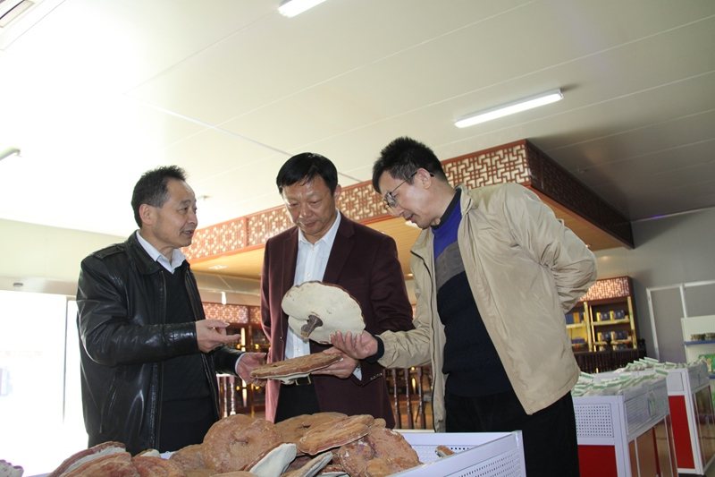 杭州亞運會官方靈芝產(chǎn)品供應(yīng)商|杭州亞運會官方供應(yīng)商|中國靈芝十大品牌|仙客來靈芝|仙客來靈芝破壁孢子粉|仙客來孢子油|仙客來靈芝飲片|仙客來破壁孢子粉|靈芝孢子油|孢子粉|靈芝破壁孢子粉|靈芝|中華老字號 杭州亞運會官方靈芝產(chǎn)品供應(yīng)商|杭州亞運會官方供應(yīng)商|中國靈芝十大品牌|仙客來靈芝|仙客來靈芝破壁孢子粉|仙客來孢子油|仙客來靈芝飲片|仙客來破壁孢子粉|靈芝孢子油|孢子粉|靈芝破壁孢子粉|靈芝|中華老字號