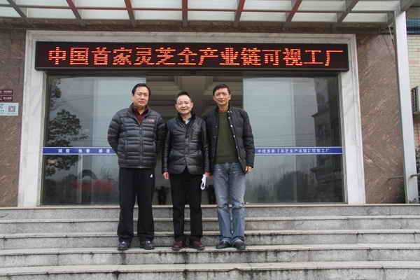 杭州亞運(yùn)會官方靈芝產(chǎn)品供應(yīng)商|杭州亞運(yùn)會官方供應(yīng)商|中國靈芝十大品牌|仙客來靈芝|仙客來靈芝破壁孢子粉|仙客來孢子油|仙客來靈芝飲片|仙客來破壁孢子粉|靈芝孢子油|孢子粉|靈芝破壁孢子粉|靈芝|中華老字號 杭州亞運(yùn)會官方靈芝產(chǎn)品供應(yīng)商|杭州亞運(yùn)會官方供應(yīng)商|中國靈芝十大品牌|仙客來靈芝|仙客來靈芝破壁孢子粉|仙客來孢子油|仙客來靈芝飲片|仙客來破壁孢子粉|靈芝孢子油|孢子粉|靈芝破壁孢子粉|靈芝|中華老字號