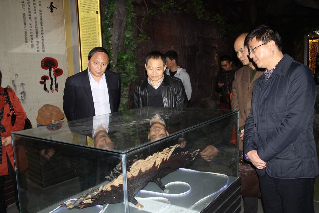 杭州亞運(yùn)會(huì)官方靈芝產(chǎn)品供應(yīng)商|杭州亞運(yùn)會(huì)官方供應(yīng)商|中國(guó)靈芝十大品牌|仙客來靈芝|仙客來靈芝破壁孢子粉|仙客來孢子油|仙客來靈芝飲片|仙客來破壁孢子粉|靈芝孢子油|孢子粉|靈芝破壁孢子粉|靈芝|中華老字號(hào)