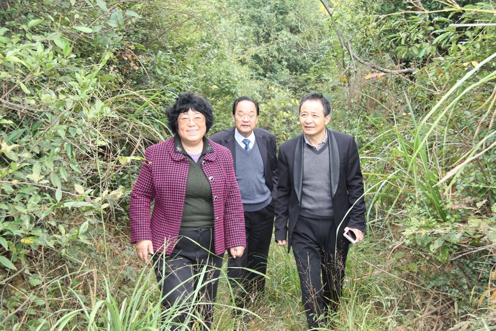 杭州亞運(yùn)會(huì)官方靈芝產(chǎn)品供應(yīng)商|杭州亞運(yùn)會(huì)官方供應(yīng)商|中國(guó)靈芝十大品牌|仙客來靈芝|仙客來靈芝破壁孢子粉|仙客來孢子油|仙客來靈芝飲片|仙客來破壁孢子粉|靈芝孢子油|孢子粉|靈芝破壁孢子粉|靈芝|中華老字號(hào) 杭州亞運(yùn)會(huì)官方靈芝產(chǎn)品供應(yīng)商|杭州亞運(yùn)會(huì)官方供應(yīng)商|中國(guó)靈芝十大品牌|仙客來靈芝|仙客來靈芝破壁孢子粉|仙客來孢子油|仙客來靈芝飲片|仙客來破壁孢子粉|靈芝孢子油|孢子粉|靈芝破壁孢子粉|靈芝|中華老字號(hào)