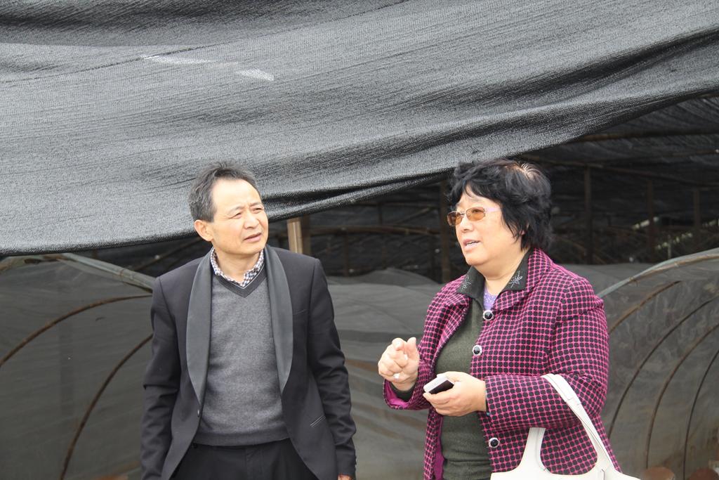 杭州亞運(yùn)會(huì)官方靈芝產(chǎn)品供應(yīng)商|杭州亞運(yùn)會(huì)官方供應(yīng)商|中國(guó)靈芝十大品牌|仙客來靈芝|仙客來靈芝破壁孢子粉|仙客來孢子油|仙客來靈芝飲片|仙客來破壁孢子粉|靈芝孢子油|孢子粉|靈芝破壁孢子粉|靈芝|中華老字號(hào)