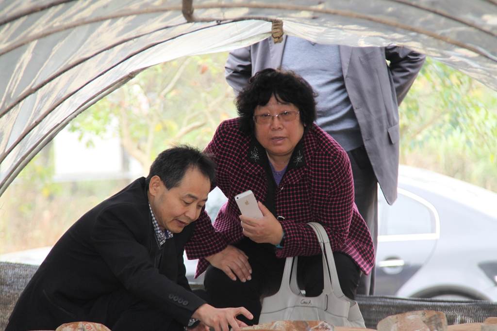 杭州亞運(yùn)會(huì)官方靈芝產(chǎn)品供應(yīng)商|杭州亞運(yùn)會(huì)官方供應(yīng)商|中國(guó)靈芝十大品牌|仙客來靈芝|仙客來靈芝破壁孢子粉|仙客來孢子油|仙客來靈芝飲片|仙客來破壁孢子粉|靈芝孢子油|孢子粉|靈芝破壁孢子粉|靈芝|中華老字號(hào) 杭州亞運(yùn)會(huì)官方靈芝產(chǎn)品供應(yīng)商|杭州亞運(yùn)會(huì)官方供應(yīng)商|中國(guó)靈芝十大品牌|仙客來靈芝|仙客來靈芝破壁孢子粉|仙客來孢子油|仙客來靈芝飲片|仙客來破壁孢子粉|靈芝孢子油|孢子粉|靈芝破壁孢子粉|靈芝|中華老字號(hào)