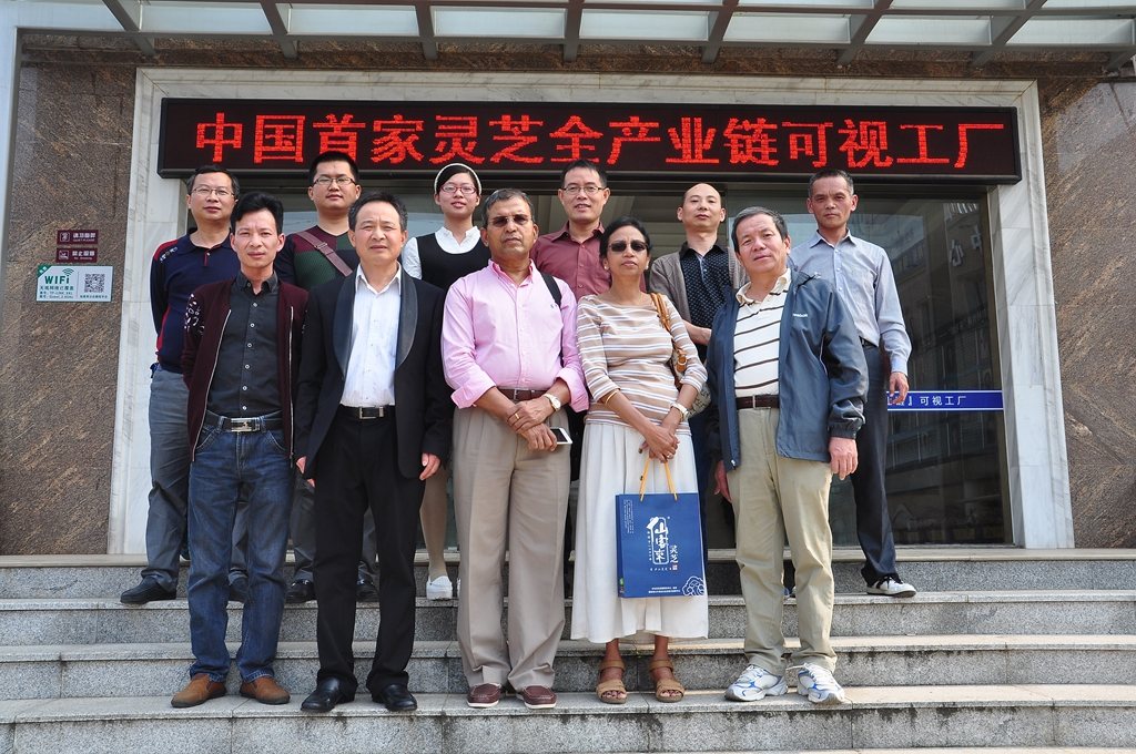 杭州亞運(yùn)會官方靈芝產(chǎn)品供應(yīng)商|杭州亞運(yùn)會官方供應(yīng)商|中國靈芝十大品牌|仙客來靈芝|仙客來靈芝破壁孢子粉|仙客來孢子油|仙客來靈芝飲片|仙客來破壁孢子粉|靈芝孢子油|孢子粉|靈芝破壁孢子粉|靈芝|中華老字號 杭州亞運(yùn)會官方靈芝產(chǎn)品供應(yīng)商|杭州亞運(yùn)會官方供應(yīng)商|中國靈芝十大品牌|仙客來靈芝|仙客來靈芝破壁孢子粉|仙客來孢子油|仙客來靈芝飲片|仙客來破壁孢子粉|靈芝孢子油|孢子粉|靈芝破壁孢子粉|靈芝|中華老字號