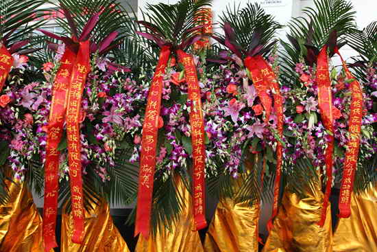 杭州亞運會官方靈芝產(chǎn)品供應商|杭州亞運會官方供應商|中國靈芝十大品牌|仙客來靈芝|仙客來靈芝破壁孢子粉|仙客來孢子油|仙客來靈芝飲片|仙客來破壁孢子粉|靈芝孢子油|孢子粉|靈芝破壁孢子粉|靈芝|中華老字號 杭州亞運會官方靈芝產(chǎn)品供應商|杭州亞運會官方供應商|中國靈芝十大品牌|仙客來靈芝|仙客來靈芝破壁孢子粉|仙客來孢子油|仙客來靈芝飲片|仙客來破壁孢子粉|靈芝孢子油|孢子粉|靈芝破壁孢子粉|靈芝|中華老字號