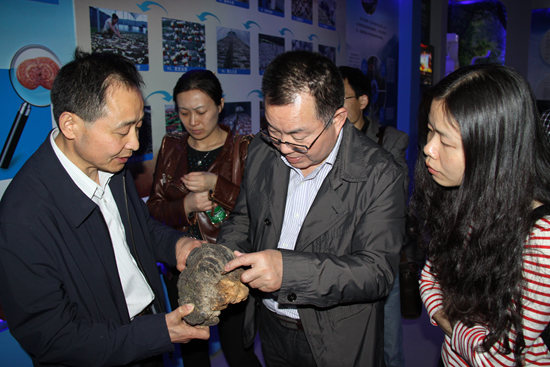 杭州亞運會官方靈芝產(chǎn)品供應商|杭州亞運會官方供應商|中國靈芝十大品牌|仙客來靈芝|仙客來靈芝破壁孢子粉|仙客來孢子油|仙客來靈芝飲片|仙客來破壁孢子粉|靈芝孢子油|孢子粉|靈芝破壁孢子粉|靈芝|中華老字號 杭州亞運會官方靈芝產(chǎn)品供應商|杭州亞運會官方供應商|中國靈芝十大品牌|仙客來靈芝|仙客來靈芝破壁孢子粉|仙客來孢子油|仙客來靈芝飲片|仙客來破壁孢子粉|靈芝孢子油|孢子粉|靈芝破壁孢子粉|靈芝|中華老字號