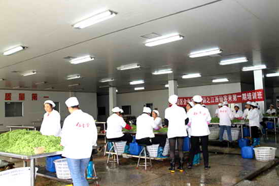 杭州亞運會官方靈芝產(chǎn)品供應商|杭州亞運會官方供應商|中國靈芝十大品牌|仙客來靈芝|仙客來靈芝破壁孢子粉|仙客來孢子油|仙客來靈芝飲片|仙客來破壁孢子粉|靈芝孢子油|孢子粉|靈芝破壁孢子粉|靈芝|中華老字號 杭州亞運會官方靈芝產(chǎn)品供應商|杭州亞運會官方供應商|中國靈芝十大品牌|仙客來靈芝|仙客來靈芝破壁孢子粉|仙客來孢子油|仙客來靈芝飲片|仙客來破壁孢子粉|靈芝孢子油|孢子粉|靈芝破壁孢子粉|靈芝|中華老字號