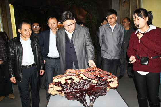 杭州亞運會官方靈芝產品供應商|杭州亞運會官方供應商|中國靈芝十大品牌|仙客來靈芝|仙客來靈芝破壁孢子粉|仙客來孢子油|仙客來靈芝飲片|仙客來破壁孢子粉|靈芝孢子油|孢子粉|靈芝破壁孢子粉|靈芝|中華老字號 杭州亞運會官方靈芝產品供應商|杭州亞運會官方供應商|中國靈芝十大品牌|仙客來靈芝|仙客來靈芝破壁孢子粉|仙客來孢子油|仙客來靈芝飲片|仙客來破壁孢子粉|靈芝孢子油|孢子粉|靈芝破壁孢子粉|靈芝|中華老字號