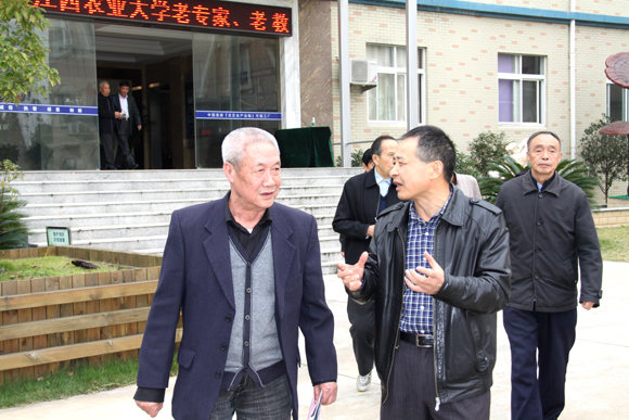 杭州亞運(yùn)會(huì)官方靈芝產(chǎn)品供應(yīng)商|杭州亞運(yùn)會(huì)官方供應(yīng)商|中國(guó)靈芝十大品牌|仙客來(lái)靈芝|仙客來(lái)靈芝破壁孢子粉|仙客來(lái)孢子油|仙客來(lái)靈芝飲片|仙客來(lái)破壁孢子粉|靈芝孢子油|孢子粉|靈芝破壁孢子粉|靈芝|中華老字號(hào) 杭州亞運(yùn)會(huì)官方靈芝產(chǎn)品供應(yīng)商|杭州亞運(yùn)會(huì)官方供應(yīng)商|中國(guó)靈芝十大品牌|仙客來(lái)靈芝|仙客來(lái)靈芝破壁孢子粉|仙客來(lái)孢子油|仙客來(lái)靈芝飲片|仙客來(lái)破壁孢子粉|靈芝孢子油|孢子粉|靈芝破壁孢子粉|靈芝|中華老字號(hào)