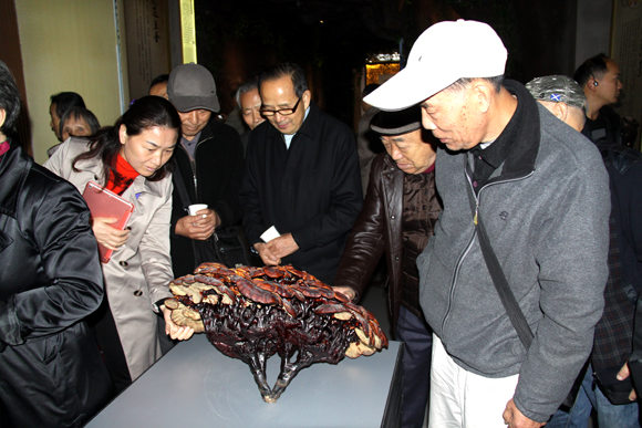 杭州亞運(yùn)會(huì)官方靈芝產(chǎn)品供應(yīng)商|杭州亞運(yùn)會(huì)官方供應(yīng)商|中國(guó)靈芝十大品牌|仙客來(lái)靈芝|仙客來(lái)靈芝破壁孢子粉|仙客來(lái)孢子油|仙客來(lái)靈芝飲片|仙客來(lái)破壁孢子粉|靈芝孢子油|孢子粉|靈芝破壁孢子粉|靈芝|中華老字號(hào) 杭州亞運(yùn)會(huì)官方靈芝產(chǎn)品供應(yīng)商|杭州亞運(yùn)會(huì)官方供應(yīng)商|中國(guó)靈芝十大品牌|仙客來(lái)靈芝|仙客來(lái)靈芝破壁孢子粉|仙客來(lái)孢子油|仙客來(lái)靈芝飲片|仙客來(lái)破壁孢子粉|靈芝孢子油|孢子粉|靈芝破壁孢子粉|靈芝|中華老字號(hào)