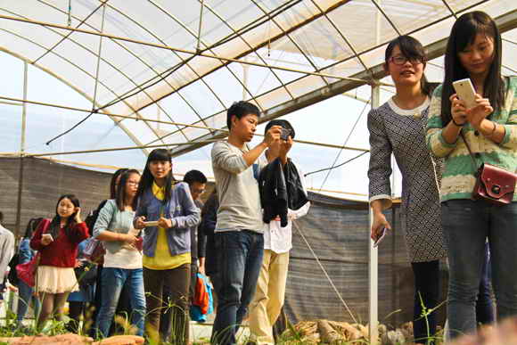 杭州亞運(yùn)會(huì)官方靈芝產(chǎn)品供應(yīng)商|杭州亞運(yùn)會(huì)官方供應(yīng)商|中國(guó)靈芝十大品牌|仙客來(lái)靈芝|仙客來(lái)靈芝破壁孢子粉|仙客來(lái)孢子油|仙客來(lái)靈芝飲片|仙客來(lái)破壁孢子粉|靈芝孢子油|孢子粉|靈芝破壁孢子粉|靈芝|中華老字號(hào) 杭州亞運(yùn)會(huì)官方靈芝產(chǎn)品供應(yīng)商|杭州亞運(yùn)會(huì)官方供應(yīng)商|中國(guó)靈芝十大品牌|仙客來(lái)靈芝|仙客來(lái)靈芝破壁孢子粉|仙客來(lái)孢子油|仙客來(lái)靈芝飲片|仙客來(lái)破壁孢子粉|靈芝孢子油|孢子粉|靈芝破壁孢子粉|靈芝|中華老字號(hào)