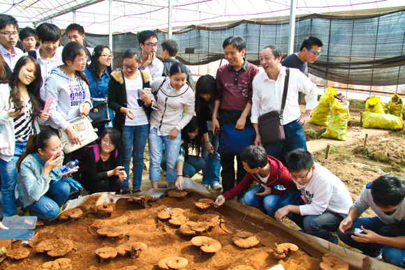 杭州亞運(yùn)會(huì)官方靈芝產(chǎn)品供應(yīng)商|杭州亞運(yùn)會(huì)官方供應(yīng)商|中國(guó)靈芝十大品牌|仙客來(lái)靈芝|仙客來(lái)靈芝破壁孢子粉|仙客來(lái)孢子油|仙客來(lái)靈芝飲片|仙客來(lái)破壁孢子粉|靈芝孢子油|孢子粉|靈芝破壁孢子粉|靈芝|中華老字號(hào) 杭州亞運(yùn)會(huì)官方靈芝產(chǎn)品供應(yīng)商|杭州亞運(yùn)會(huì)官方供應(yīng)商|中國(guó)靈芝十大品牌|仙客來(lái)靈芝|仙客來(lái)靈芝破壁孢子粉|仙客來(lái)孢子油|仙客來(lái)靈芝飲片|仙客來(lái)破壁孢子粉|靈芝孢子油|孢子粉|靈芝破壁孢子粉|靈芝|中華老字號(hào)