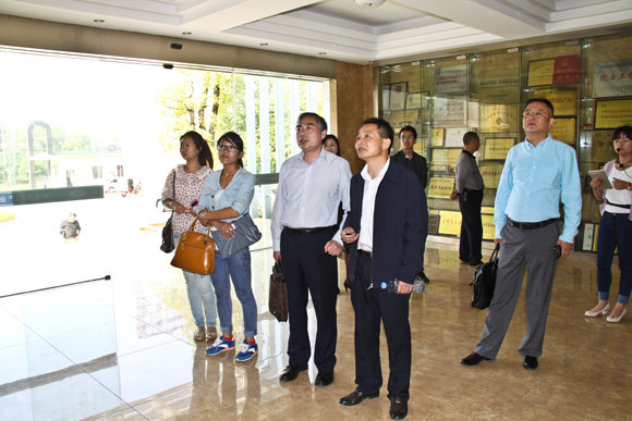 杭州亞運(yùn)會官方靈芝產(chǎn)品供應(yīng)商|杭州亞運(yùn)會官方供應(yīng)商|中國靈芝十大品牌|仙客來靈芝|仙客來靈芝破壁孢子粉|仙客來孢子油|仙客來靈芝飲片|仙客來破壁孢子粉|靈芝孢子油|孢子粉|靈芝破壁孢子粉|靈芝|中華老字號 杭州亞運(yùn)會官方靈芝產(chǎn)品供應(yīng)商|杭州亞運(yùn)會官方供應(yīng)商|中國靈芝十大品牌|仙客來靈芝|仙客來靈芝破壁孢子粉|仙客來孢子油|仙客來靈芝飲片|仙客來破壁孢子粉|靈芝孢子油|孢子粉|靈芝破壁孢子粉|靈芝|中華老字號