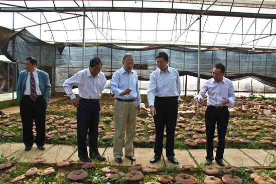 杭州亞運(yùn)會官方靈芝產(chǎn)品供應(yīng)商|杭州亞運(yùn)會官方供應(yīng)商|中國靈芝十大品牌|仙客來靈芝|仙客來靈芝破壁孢子粉|仙客來孢子油|仙客來靈芝飲片|仙客來破壁孢子粉|靈芝孢子油|孢子粉|靈芝破壁孢子粉|靈芝|中華老字號 杭州亞運(yùn)會官方靈芝產(chǎn)品供應(yīng)商|杭州亞運(yùn)會官方供應(yīng)商|中國靈芝十大品牌|仙客來靈芝|仙客來靈芝破壁孢子粉|仙客來孢子油|仙客來靈芝飲片|仙客來破壁孢子粉|靈芝孢子油|孢子粉|靈芝破壁孢子粉|靈芝|中華老字號