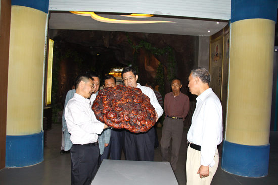 杭州亞運(yùn)會官方靈芝產(chǎn)品供應(yīng)商|杭州亞運(yùn)會官方供應(yīng)商|中國靈芝十大品牌|仙客來靈芝|仙客來靈芝破壁孢子粉|仙客來孢子油|仙客來靈芝飲片|仙客來破壁孢子粉|靈芝孢子油|孢子粉|靈芝破壁孢子粉|靈芝|中華老字號 杭州亞運(yùn)會官方靈芝產(chǎn)品供應(yīng)商|杭州亞運(yùn)會官方供應(yīng)商|中國靈芝十大品牌|仙客來靈芝|仙客來靈芝破壁孢子粉|仙客來孢子油|仙客來靈芝飲片|仙客來破壁孢子粉|靈芝孢子油|孢子粉|靈芝破壁孢子粉|靈芝|中華老字號