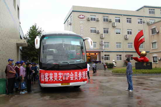 杭州亞運會官方靈芝產品供應商|杭州亞運會官方供應商|中國靈芝十大品牌|仙客來靈芝|仙客來靈芝破壁孢子粉|仙客來孢子油|仙客來靈芝飲片|仙客來破壁孢子粉|靈芝孢子油|孢子粉|靈芝破壁孢子粉|靈芝|中華老字號 杭州亞運會官方靈芝產品供應商|杭州亞運會官方供應商|中國靈芝十大品牌|仙客來靈芝|仙客來靈芝破壁孢子粉|仙客來孢子油|仙客來靈芝飲片|仙客來破壁孢子粉|靈芝孢子油|孢子粉|靈芝破壁孢子粉|靈芝|中華老字號