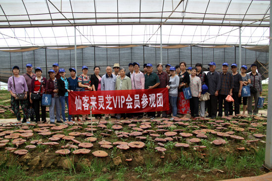 杭州亞運會官方靈芝產品供應商|杭州亞運會官方供應商|中國靈芝十大品牌|仙客來靈芝|仙客來靈芝破壁孢子粉|仙客來孢子油|仙客來靈芝飲片|仙客來破壁孢子粉|靈芝孢子油|孢子粉|靈芝破壁孢子粉|靈芝|中華老字號 杭州亞運會官方靈芝產品供應商|杭州亞運會官方供應商|中國靈芝十大品牌|仙客來靈芝|仙客來靈芝破壁孢子粉|仙客來孢子油|仙客來靈芝飲片|仙客來破壁孢子粉|靈芝孢子油|孢子粉|靈芝破壁孢子粉|靈芝|中華老字號