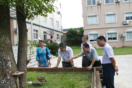 杭州亞運(yùn)會(huì)官方靈芝產(chǎn)品供應(yīng)商|杭州亞運(yùn)會(huì)官方供應(yīng)商|中國靈芝十大品牌|仙客來靈芝|仙客來靈芝破壁孢子粉|仙客來孢子油|仙客來靈芝飲片|仙客來破壁孢子粉|靈芝孢子油|孢子粉|靈芝破壁孢子粉|靈芝|中華老字號 杭州亞運(yùn)會(huì)官方靈芝產(chǎn)品供應(yīng)商|杭州亞運(yùn)會(huì)官方供應(yīng)商|中國靈芝十大品牌|仙客來靈芝|仙客來靈芝破壁孢子粉|仙客來孢子油|仙客來靈芝飲片|仙客來破壁孢子粉|靈芝孢子油|孢子粉|靈芝破壁孢子粉|靈芝|中華老字號