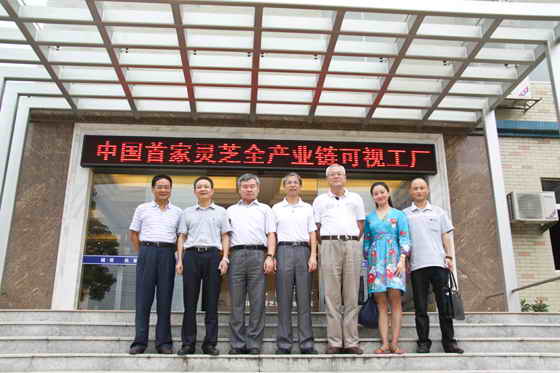 杭州亞運(yùn)會(huì)官方靈芝產(chǎn)品供應(yīng)商|杭州亞運(yùn)會(huì)官方供應(yīng)商|中國靈芝十大品牌|仙客來靈芝|仙客來靈芝破壁孢子粉|仙客來孢子油|仙客來靈芝飲片|仙客來破壁孢子粉|靈芝孢子油|孢子粉|靈芝破壁孢子粉|靈芝|中華老字號 杭州亞運(yùn)會(huì)官方靈芝產(chǎn)品供應(yīng)商|杭州亞運(yùn)會(huì)官方供應(yīng)商|中國靈芝十大品牌|仙客來靈芝|仙客來靈芝破壁孢子粉|仙客來孢子油|仙客來靈芝飲片|仙客來破壁孢子粉|靈芝孢子油|孢子粉|靈芝破壁孢子粉|靈芝|中華老字號