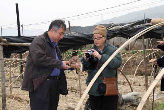 杭州亞運(yùn)會(huì)官方靈芝產(chǎn)品供應(yīng)商|杭州亞運(yùn)會(huì)官方供應(yīng)商|中國(guó)靈芝十大品牌|仙客來(lái)靈芝|仙客來(lái)靈芝破壁孢子粉|仙客來(lái)孢子油|仙客來(lái)靈芝飲片|仙客來(lái)破壁孢子粉|靈芝孢子油|孢子粉|靈芝破壁孢子粉|靈芝|中華老字號(hào) 杭州亞運(yùn)會(huì)官方靈芝產(chǎn)品供應(yīng)商|杭州亞運(yùn)會(huì)官方供應(yīng)商|中國(guó)靈芝十大品牌|仙客來(lái)靈芝|仙客來(lái)靈芝破壁孢子粉|仙客來(lái)孢子油|仙客來(lái)靈芝飲片|仙客來(lái)破壁孢子粉|靈芝孢子油|孢子粉|靈芝破壁孢子粉|靈芝|中華老字號(hào)