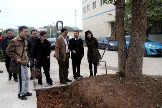 杭州亞運(yùn)會(huì)官方靈芝產(chǎn)品供應(yīng)商|杭州亞運(yùn)會(huì)官方供應(yīng)商|中國(guó)靈芝十大品牌|仙客來(lái)靈芝|仙客來(lái)靈芝破壁孢子粉|仙客來(lái)孢子油|仙客來(lái)靈芝飲片|仙客來(lái)破壁孢子粉|靈芝孢子油|孢子粉|靈芝破壁孢子粉|靈芝|中華老字號(hào) 杭州亞運(yùn)會(huì)官方靈芝產(chǎn)品供應(yīng)商|杭州亞運(yùn)會(huì)官方供應(yīng)商|中國(guó)靈芝十大品牌|仙客來(lái)靈芝|仙客來(lái)靈芝破壁孢子粉|仙客來(lái)孢子油|仙客來(lái)靈芝飲片|仙客來(lái)破壁孢子粉|靈芝孢子油|孢子粉|靈芝破壁孢子粉|靈芝|中華老字號(hào)