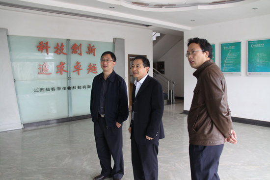 杭州亞運會官方靈芝產品供應商|杭州亞運會官方供應商|中國靈芝十大品牌|仙客來靈芝|仙客來靈芝破壁孢子粉|仙客來孢子油|仙客來靈芝飲片|仙客來破壁孢子粉|靈芝孢子油|孢子粉|靈芝破壁孢子粉|靈芝|中華老字號 杭州亞運會官方靈芝產品供應商|杭州亞運會官方供應商|中國靈芝十大品牌|仙客來靈芝|仙客來靈芝破壁孢子粉|仙客來孢子油|仙客來靈芝飲片|仙客來破壁孢子粉|靈芝孢子油|孢子粉|靈芝破壁孢子粉|靈芝|中華老字號