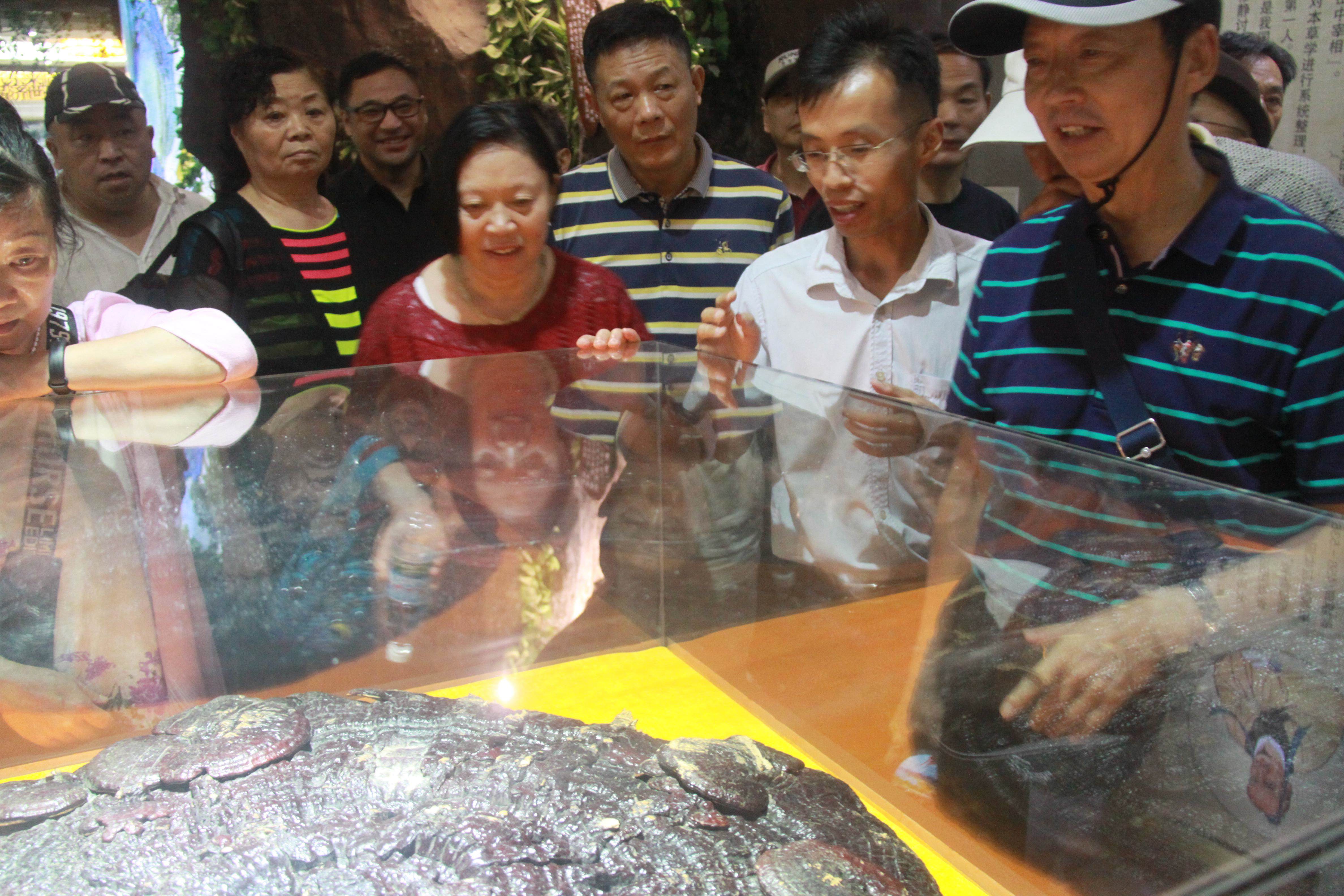 仙客來靈芝破壁孢子粉|仙客來靈芝孢子油|仙客來靈芝|仙客來破壁孢子粉|江西老字號|有機(jī)栽培椴木靈芝|靈芝中藥飲片|江西九江廬山民營企業(yè)|廬山GAP仿野生栽培椴木靈芝|靈芝|林之|林芝 仙客來靈芝破壁孢子粉|仙客來靈芝孢子油|仙客來靈芝|仙客來破壁孢子粉|江西老字號|有機(jī)栽培椴木靈芝|靈芝中藥飲片|江西九江廬山民營企業(yè)|廬山GAP仿野生栽培椴木靈芝|靈芝|林之|林芝