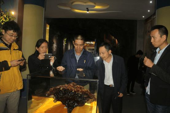 1540446882304851.png 杭州亞運(yùn)會(huì)官方靈芝產(chǎn)品供應(yīng)商|杭州亞運(yùn)會(huì)官方供應(yīng)商|中國(guó)靈芝十大品牌|仙客來靈芝|仙客來靈芝破壁孢子粉|仙客來孢子油|仙客來靈芝飲片|仙客來破壁孢子粉|靈芝孢子油|孢子粉|靈芝破壁孢子粉|靈芝|中華老字號(hào)