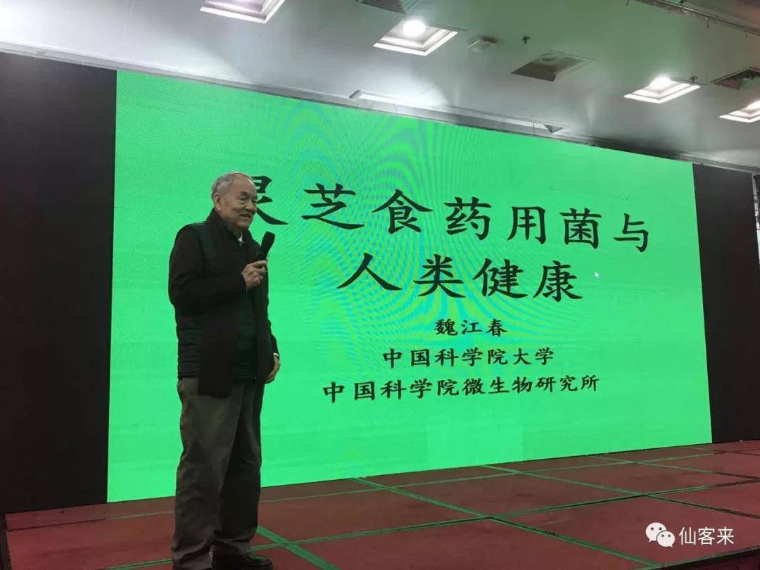 杭州亞運會官方靈芝產(chǎn)品供應(yīng)商|杭州亞運會官方供應(yīng)商|中國靈芝十大品牌|仙客來靈芝|仙客來靈芝破壁孢子粉|仙客來孢子油|仙客來靈芝飲片|仙客來破壁孢子粉|靈芝孢子油|孢子粉|靈芝破壁孢子粉|靈芝|中華老字號