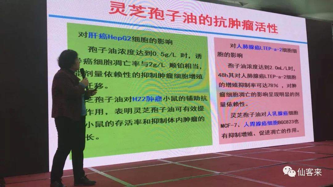 杭州亞運會官方靈芝產(chǎn)品供應(yīng)商|杭州亞運會官方供應(yīng)商|中國靈芝十大品牌|仙客來靈芝|仙客來靈芝破壁孢子粉|仙客來孢子油|仙客來靈芝飲片|仙客來破壁孢子粉|靈芝孢子油|孢子粉|靈芝破壁孢子粉|靈芝|中華老字號