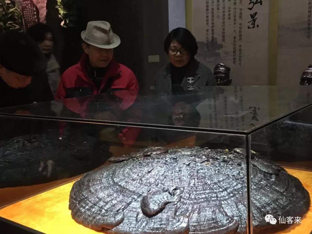 中國(guó)靈芝十大品牌|仙客來(lái)靈芝|仙客來(lái)靈芝破壁孢子粉|仙客來(lái)孢子油|仙客來(lái)靈芝飲片|仙客來(lái)破壁孢子粉|仙客來(lái)靈芝中藥飲片|馳名商標(biāo)|carbatteryresident.com|