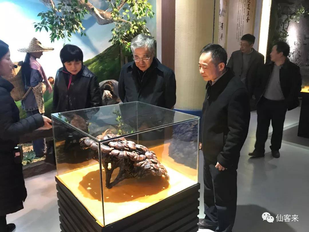 中國靈芝十大品牌|仙客來靈芝|仙客來靈芝破壁孢子粉|仙客來孢子油|仙客來靈芝飲片|仙客來破壁孢子粉|仙客來靈芝中藥飲片|馳名商標(biāo)|carbatteryresident.com|