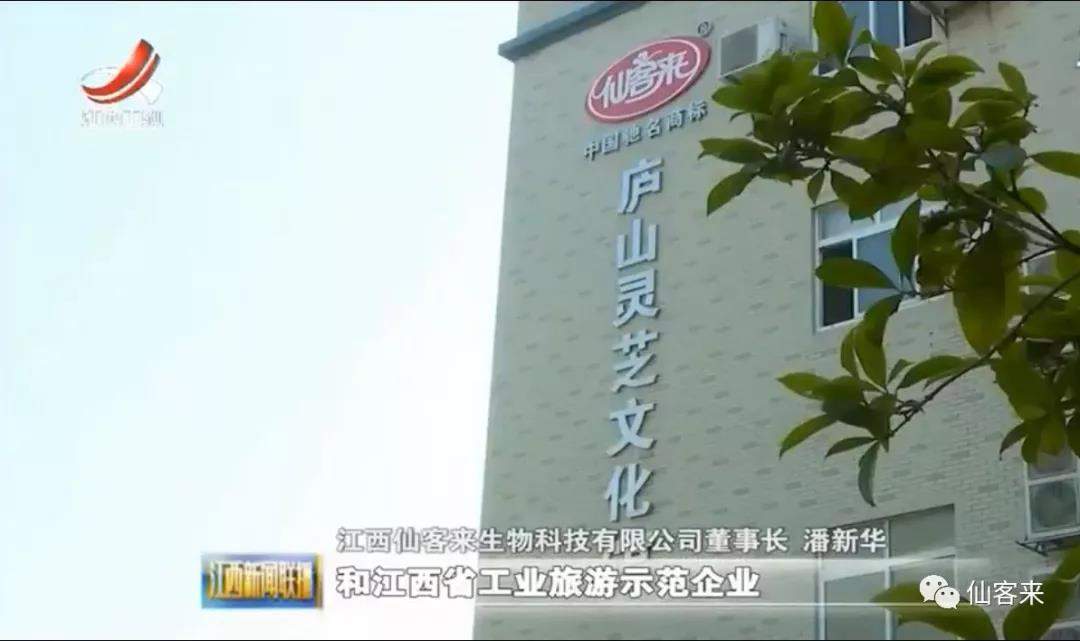 中國(guó)靈芝十大品牌|仙客來(lái)靈芝|仙客來(lái)靈芝破壁孢子粉|仙客來(lái)孢子油|仙客來(lái)靈芝飲片|仙客來(lái)破壁孢子粉|仙客來(lái)靈芝中藥飲片|馳名商標(biāo)|carbatteryresident.com| 中國(guó)靈芝十大品牌|仙客來(lái)靈芝|仙客來(lái)靈芝破壁孢子粉|仙客來(lái)孢子油|仙客來(lái)靈芝飲片|仙客來(lái)破壁孢子粉|仙客來(lái)靈芝中藥飲片|馳名商標(biāo)|carbatteryresident.com|