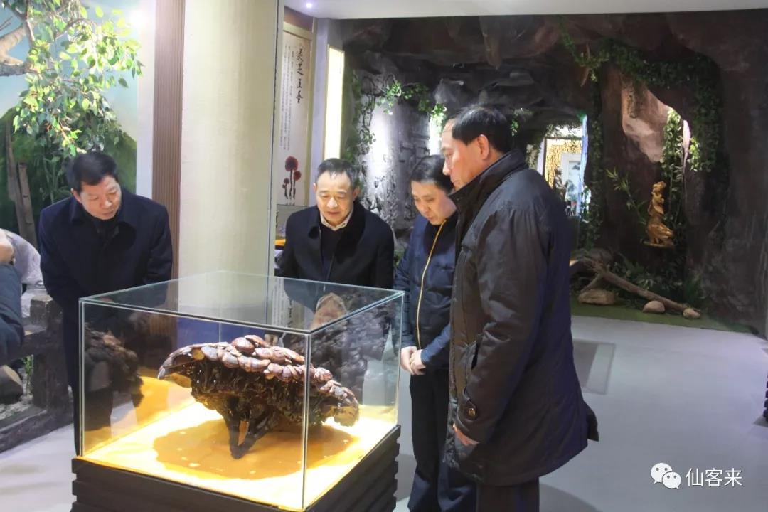 中國靈芝十大品牌|仙客來靈芝|仙客來靈芝破壁孢子粉|仙客來孢子油|仙客來靈芝飲片|仙客來破壁孢子粉|仙客來靈芝中藥飲片|馳名商標|carbatteryresident.com| 中國靈芝十大品牌|仙客來靈芝|仙客來靈芝破壁孢子粉|仙客來孢子油|仙客來靈芝飲片|仙客來破壁孢子粉|仙客來靈芝中藥飲片|馳名商標|carbatteryresident.com|