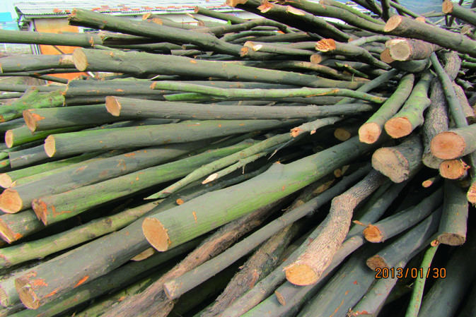 櫟木|仙客來靈芝|中國靈芝十大品牌|中國馳名商標|中國首家靈芝全產(chǎn)業(yè)鏈可視工廠 櫟木|仙客來靈芝|中國靈芝十大品牌|中國馳名商標|中國首家靈芝全產(chǎn)業(yè)鏈可視工廠