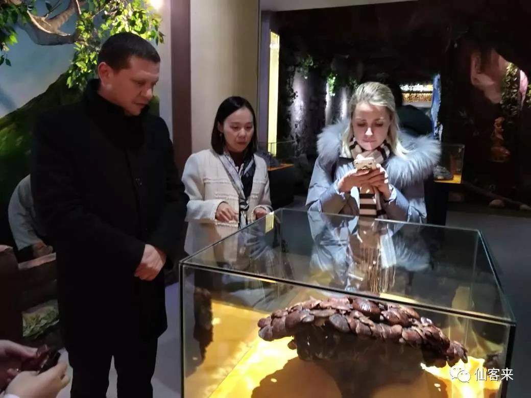 中國靈芝十大品牌|仙客來靈芝|仙客來靈芝破壁孢子粉|仙客來孢子油|仙客來靈芝飲片|仙客來破壁孢子粉|仙客來靈芝中藥飲片|馳名商標(biāo)|carbatteryresident.com|