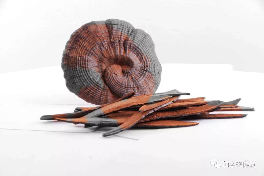 中國(guó)靈芝十大品牌|仙客來(lái)靈芝|仙客來(lái)靈芝破壁孢子粉|仙客來(lái)孢子油|仙客來(lái)靈芝飲片|仙客來(lái)破壁孢子粉|仙客來(lái)靈芝中藥飲片|馳名商標(biāo)|carbatteryresident.com|