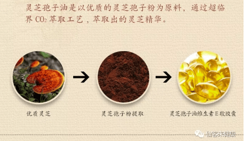 中國靈芝十大品牌|仙客來靈芝|仙客來靈芝破壁孢子粉|仙客來孢子油|仙客來靈芝飲片|仙客來破壁孢子粉|仙客來靈芝中藥飲片|馳名商標(biāo)|carbatteryresident.com|